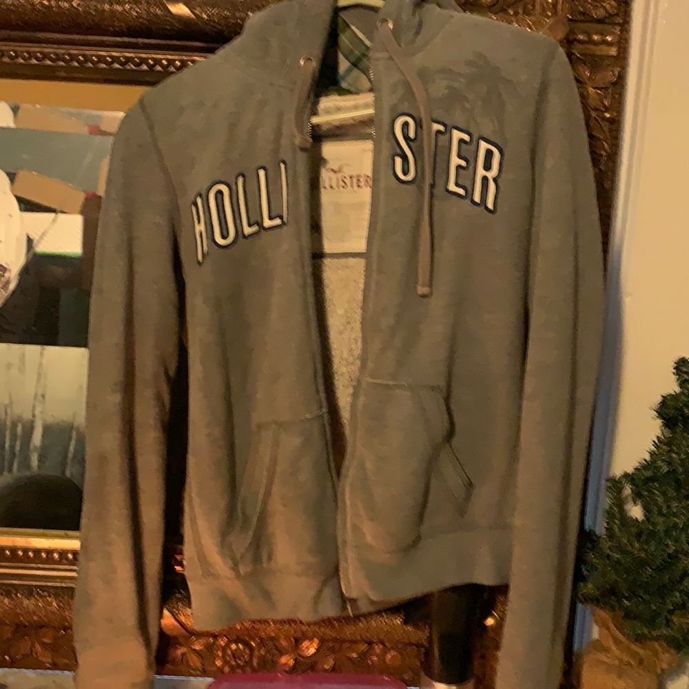 Hollister Medium